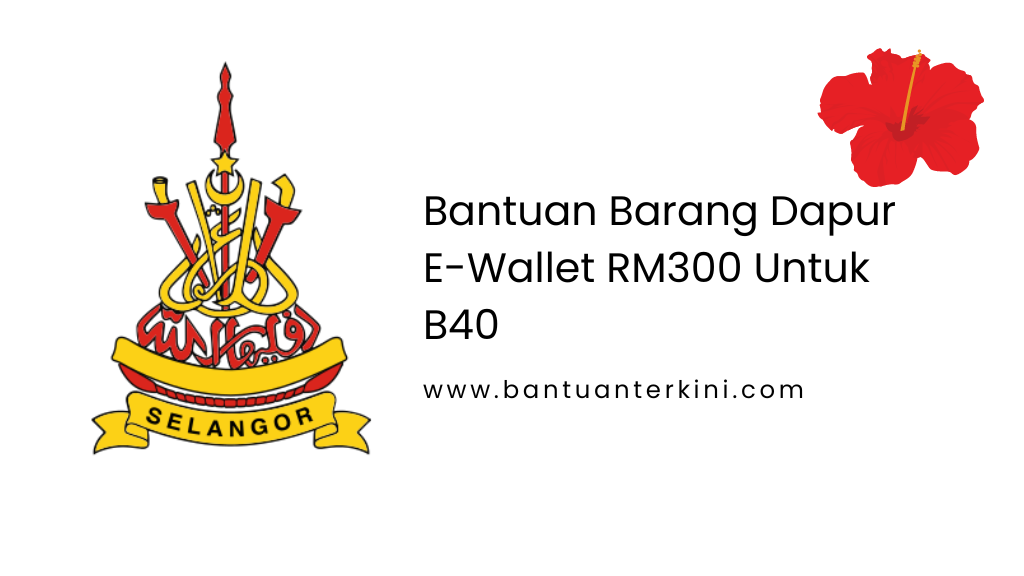 Bantuan Barang Dapur E-Wallet RM300 Untuk B40